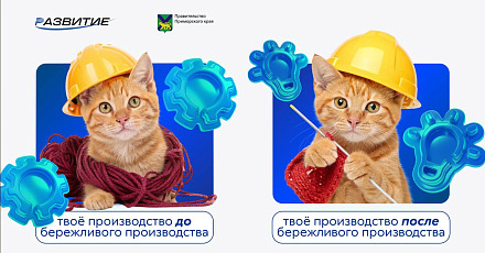 Региональный центр инжиниринга запускает бесплатную акселерационную программу для производственных компаний Приморья! 