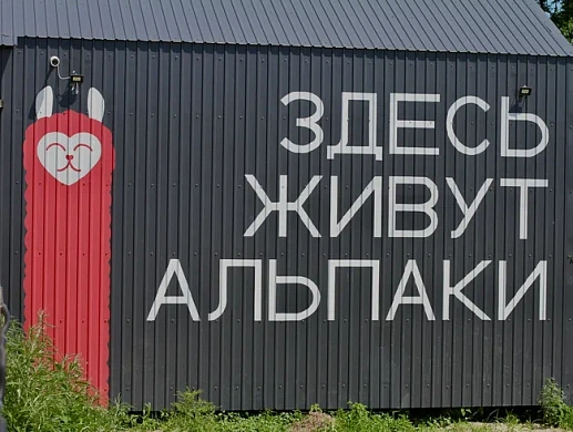 От фермы до агротуристического кластера Приморья: господдержка на всех этапах