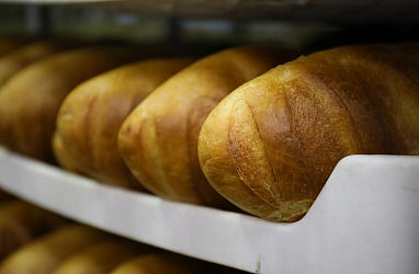 Владивостокская пекарня расширяет производство благодаря господдержке