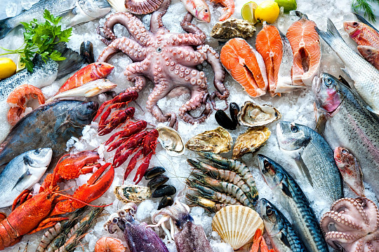 Обзор мирового рынка морепродуктов