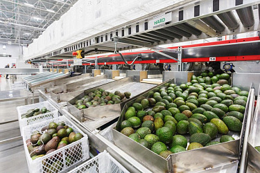 ФЦК помогли московской компании нарастить объемы поставок фруктов и ягод