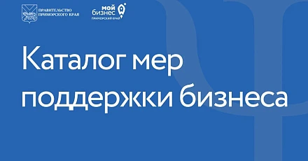 Впервые в Приморье: презентация каталога мер поддержки бизнеса